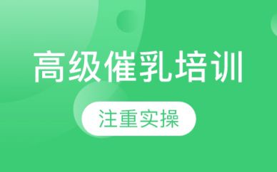 深圳高級催乳培訓班課程