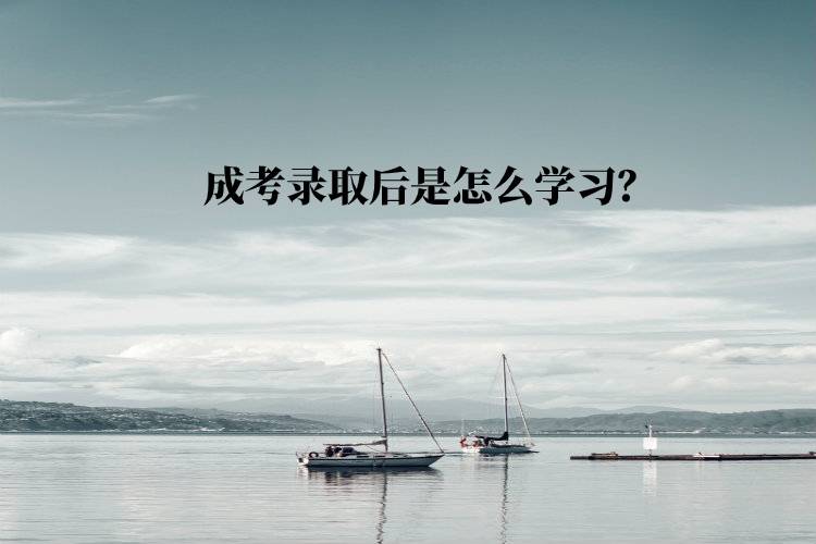 成考錄取后是怎么學習？