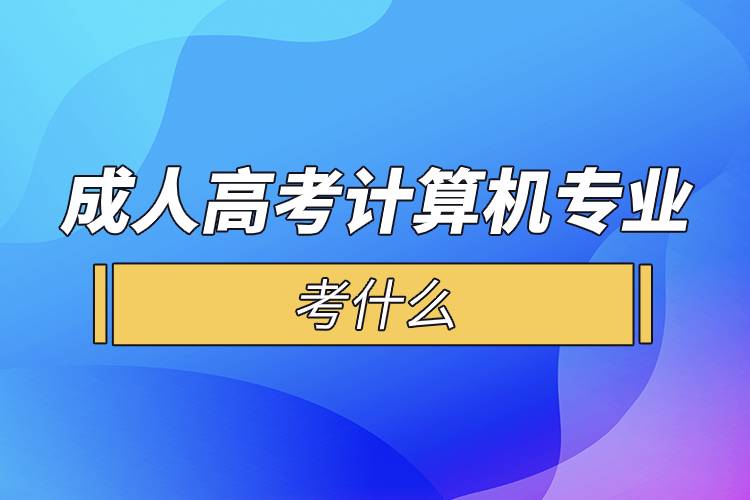 成人高考計算機專業(yè)考什么