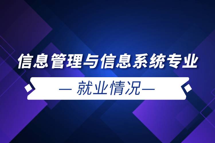 信息管理與信息系統(tǒng)專業(yè)就業(yè)情況