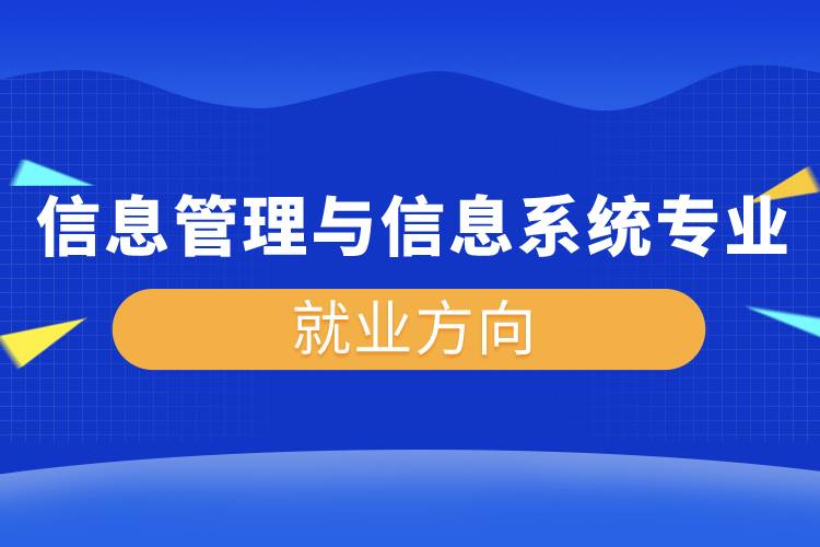 信息管理與信息系統(tǒng)專業(yè)就業(yè)方向