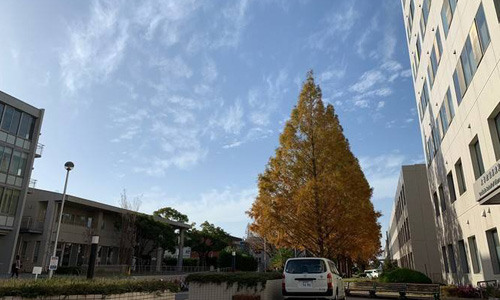 名古屋藝術(shù)大學(xué)申請條件