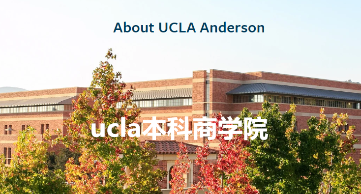 ucla本科有商學院嗎？