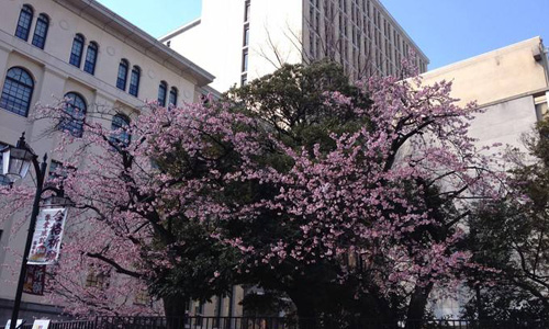 日本東京家政大學(xué)怎么樣？