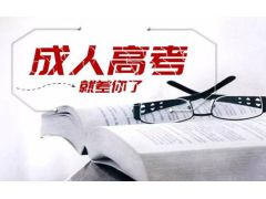 2020年成人高考統(tǒng)一考試時間是多久？