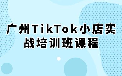 廣州TikTok小店實戰(zhàn)培訓班課程