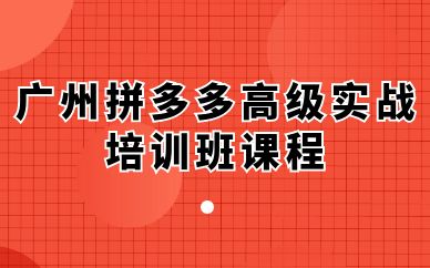 廣州拼多多高級實(shí)戰(zhàn)培訓(xùn)班課程